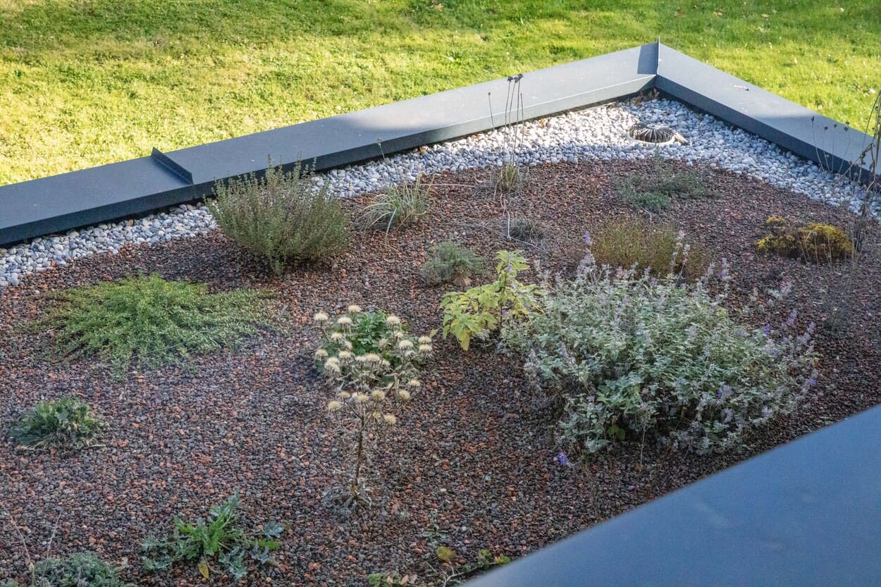 Dach von Carport begrünt