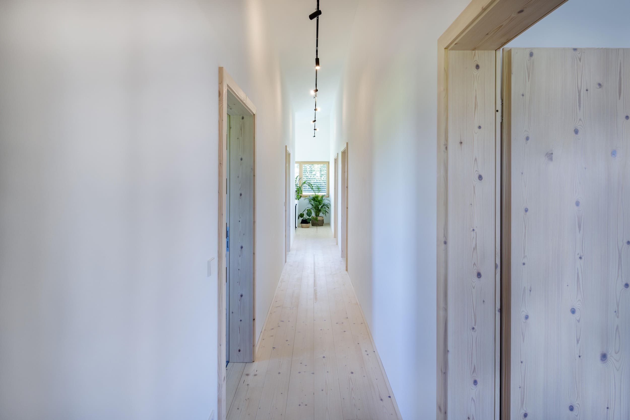 Heller, schmaler Flur mit Holztüren führt zu einer eleganten Pflanze am Ende.